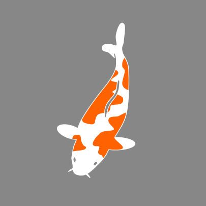 Koi Karpfen