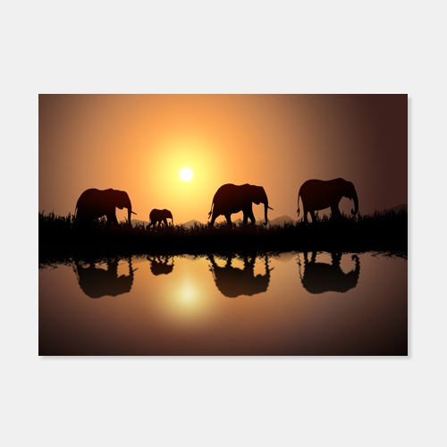 Elefantenfamilie im Sonnenuntergang